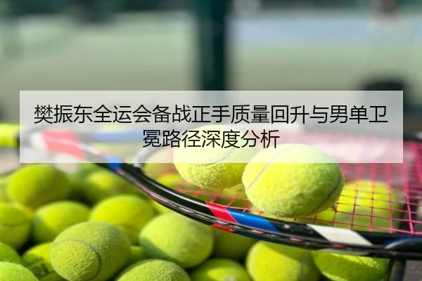 樊振东全运会备战正手质量回升与男单卫冕路径深度分析